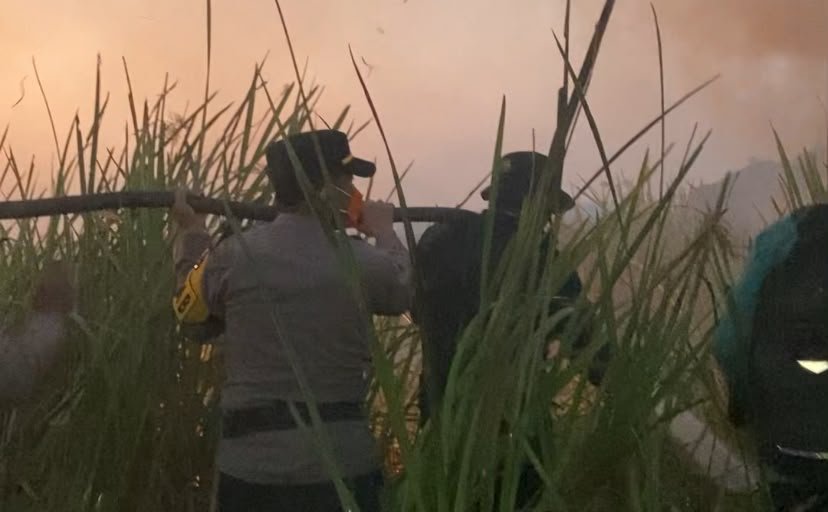 Kapolda Lampung: Karhutla di TN Way Kambas Berhasil Dipadamkan, Personel Gabungan Lakukan Pembasahan