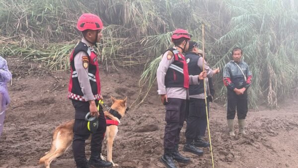 Unit Polsatwa Ditsamapta Polda Sumbar Turunkan K9 Spesifikasi SAR Telusuri Jalur Air Bah