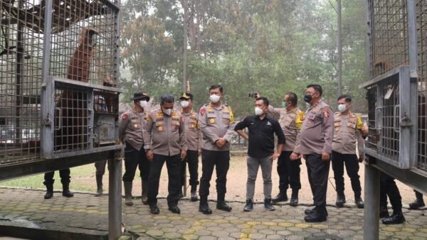 Polri: Perkuat Patroli Hutan Terpadu, Rescue Satwa Terdampak dan Pengamanan agar Orang Utan Terlindungi