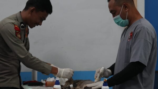 Polri Sterilisasi Puluhan Kucing, Dukung Pengendalian Populasi Hewan secara Bertanggung Jawab